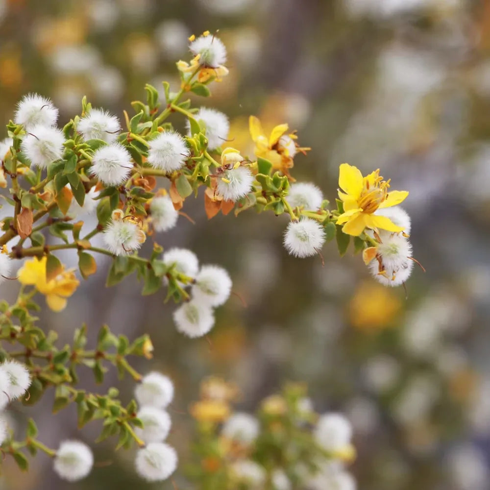 The Bridal Bootcamp: Why We Built This