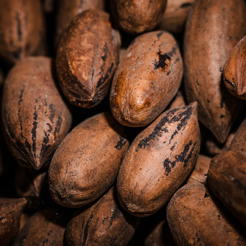 Coffea Arabica (Coffee) Seed Extract