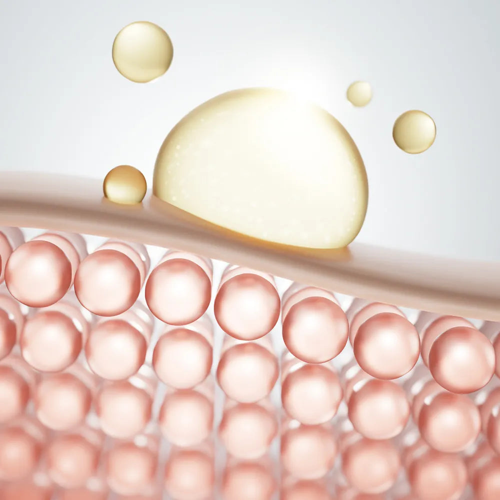 Hydrogenated Lecithin & Skin-Identical Lipids