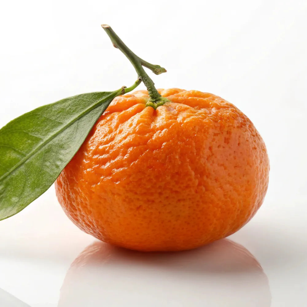 Citrus Unshiu Peel Extract