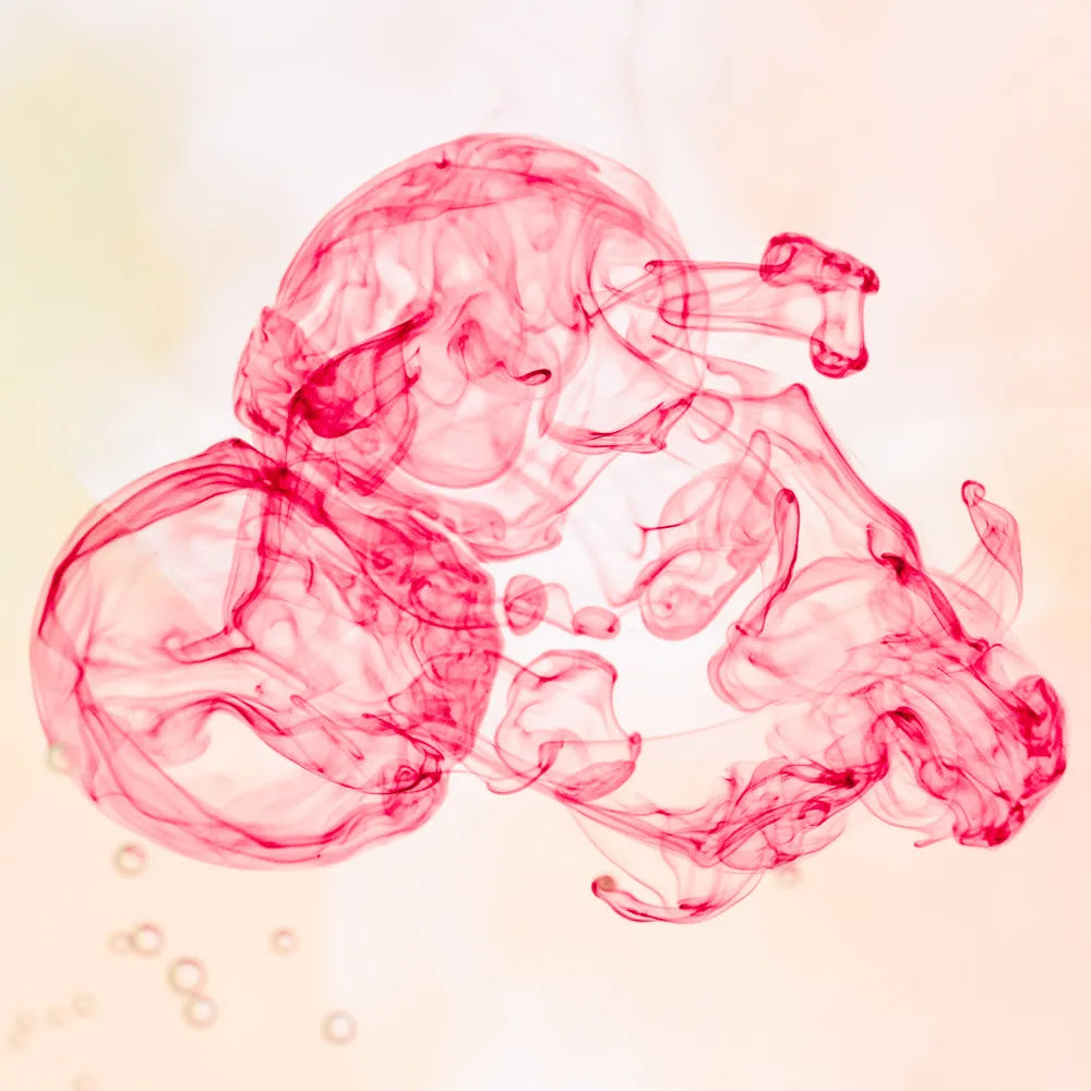 Ovine (Sheep) Placenta