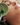 KrX Aesthetics Inflacure Healing Active | Kin Aesthetics